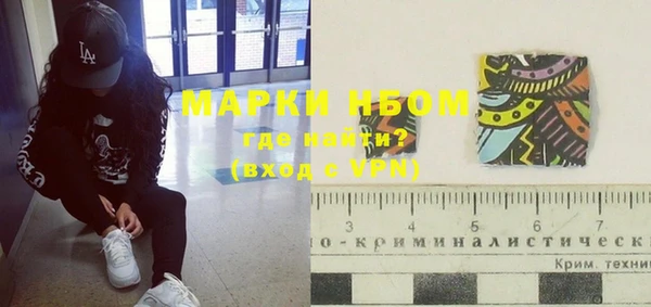 тгк Бородино