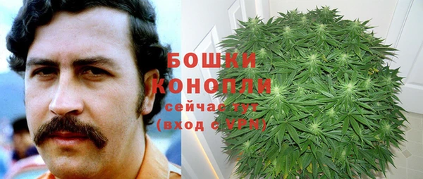 твердый Санкт-Петербург