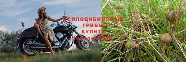 тгк Бородино