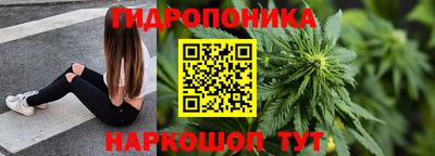 молекула духа Кандалакша
