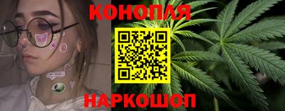 Альфа ПВП Камышлов