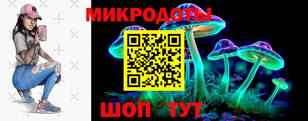 Псилоцибиновые грибы Cubensis Великие Луки